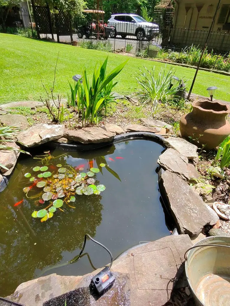 1054 Dickey Road, Murphy, NC 28906 - Image #3