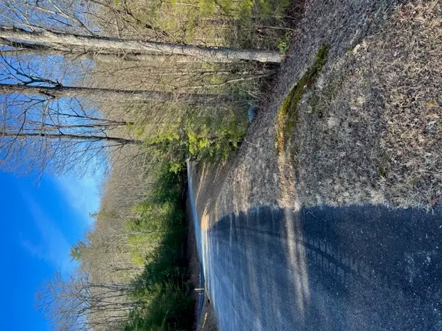 Lot 9 Robert Drive, Ellijay, GA 30536 - Image #2
