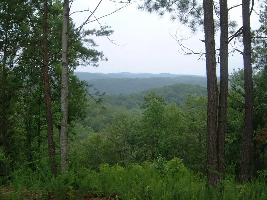 306 Oberlin Court, Ranger, GA 30734 - Image #3