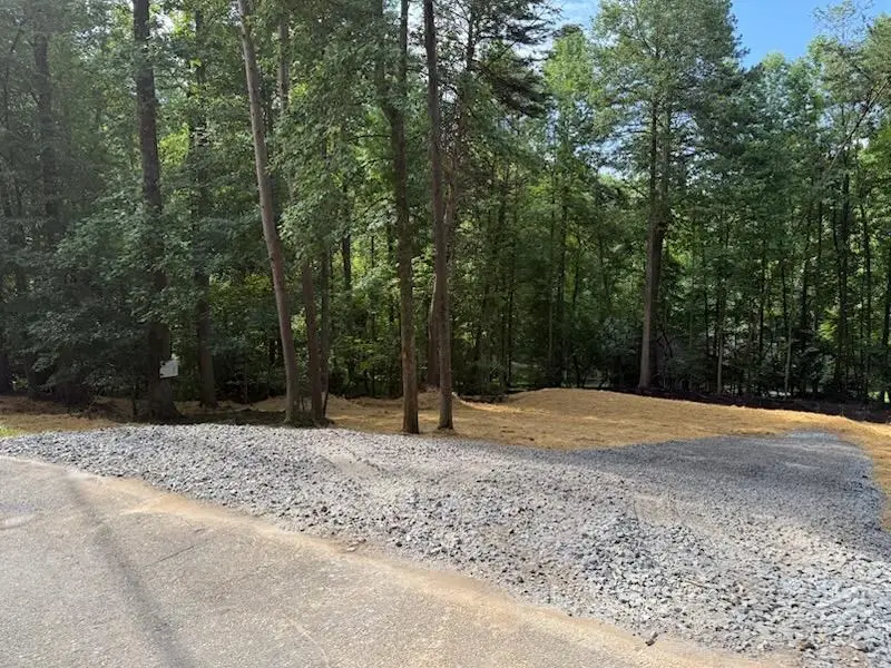 LOT 195 Shenendoa Dr., Ellijay, GA 30540 - Image #3