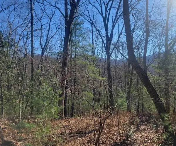 Lot 26 Countryside Lane, Hayesville, NC 28904