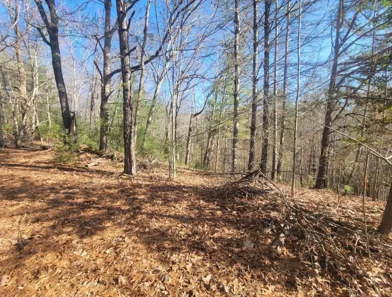 Lot 26 Countryside Lane, Hayesville, NC 28904 - Image #2