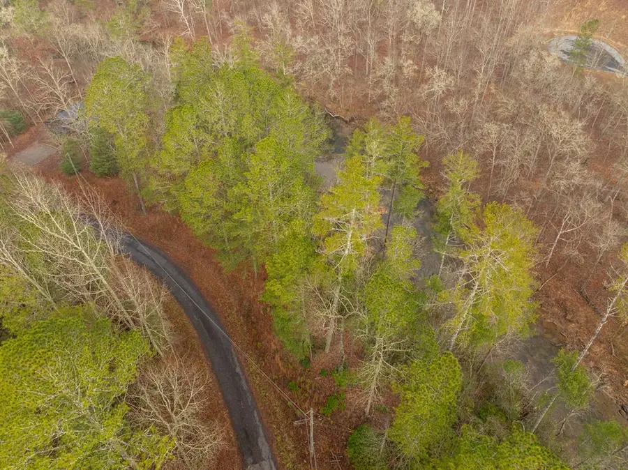 Lot 1742 Meadow Lane, Talking Rock, GA 30175 - Image #2