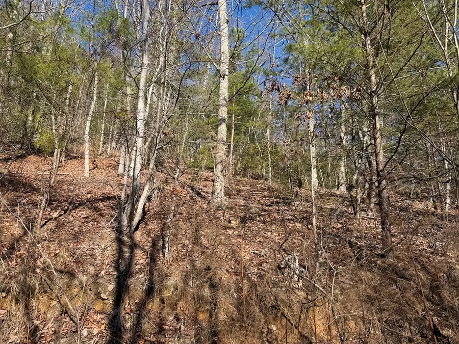 00 Mission Ridge, Hayesville, NC 28904 - #3