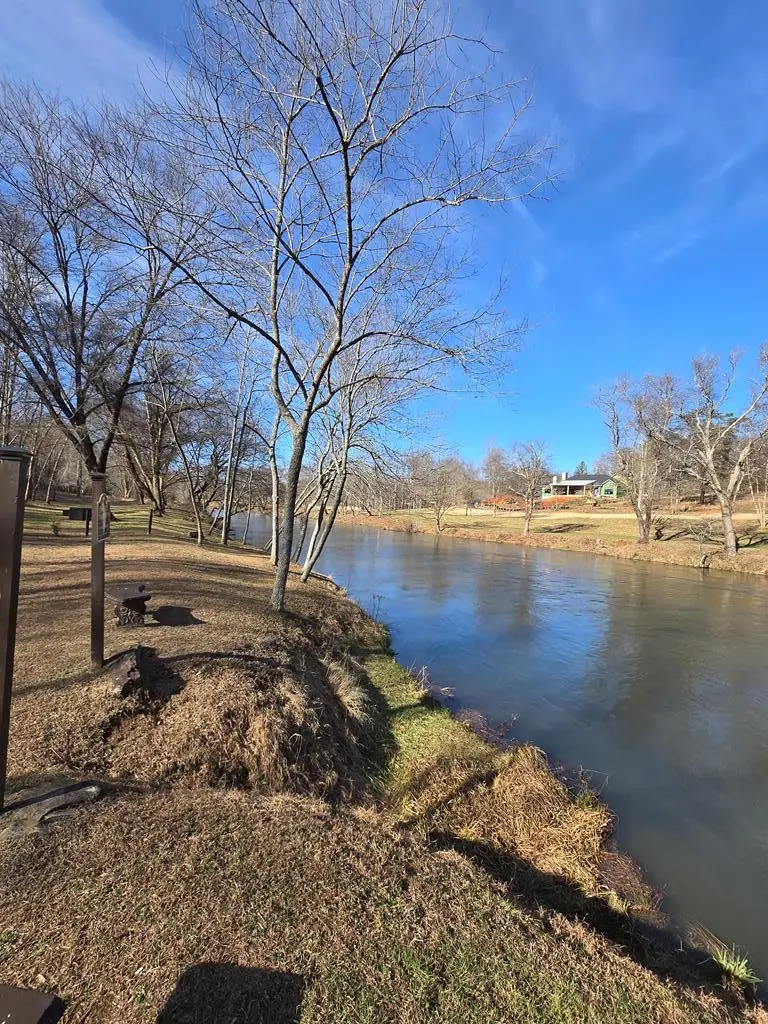 lot 59 River Ridge Drive, Blue Ridge, GA 30513 - #1