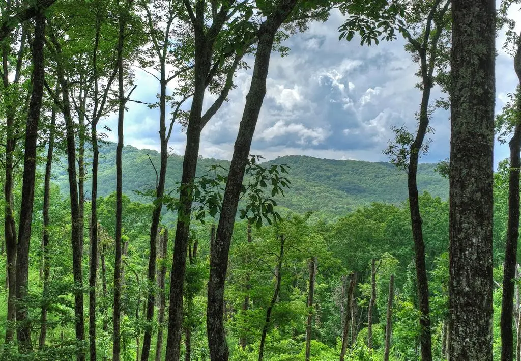 Lot 22 Mountain Trace, Cherry Log, GA 30522 - #1