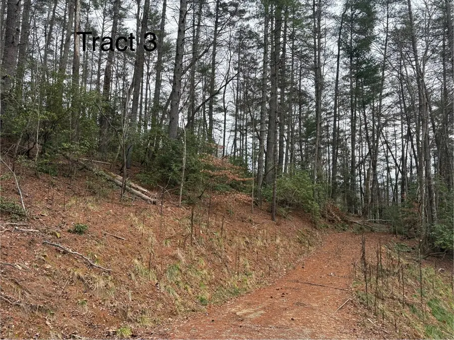 Tract 3 Fain Branch Road, Blairsville, GA 30512 - Image #3