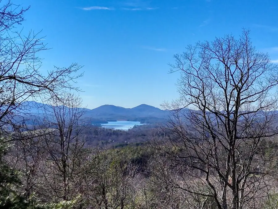 417 Hidden Forest Lane, Hiawassee, NC 29804 - #2