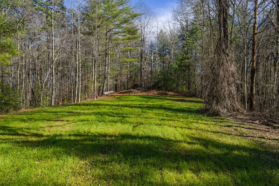 36.8 AC Pleasant Oak Trail, Ellijay, GA 30540 - Image #3