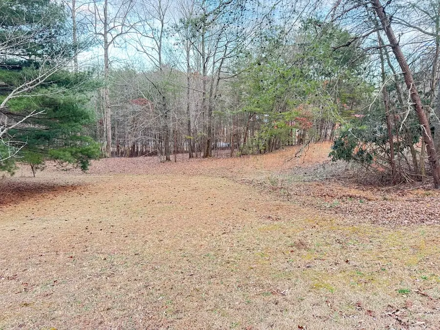 Lot 6 Twin Mountain Road, Hiawassee, GA 30546 - #2