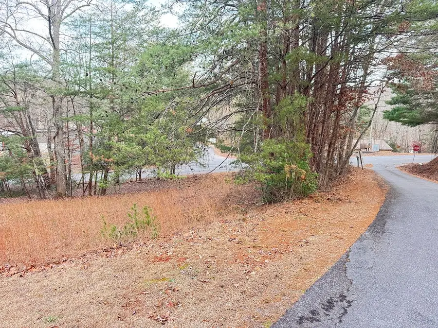 Lot 6 Twin Mountain Road, Hiawassee, GA 30546 - #3