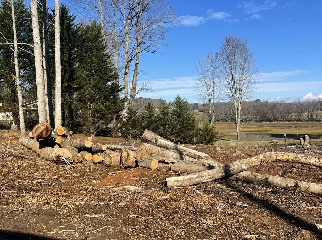 1 & 1A Sneaking Creek Drive, Hayesville, NC 28904 - #1