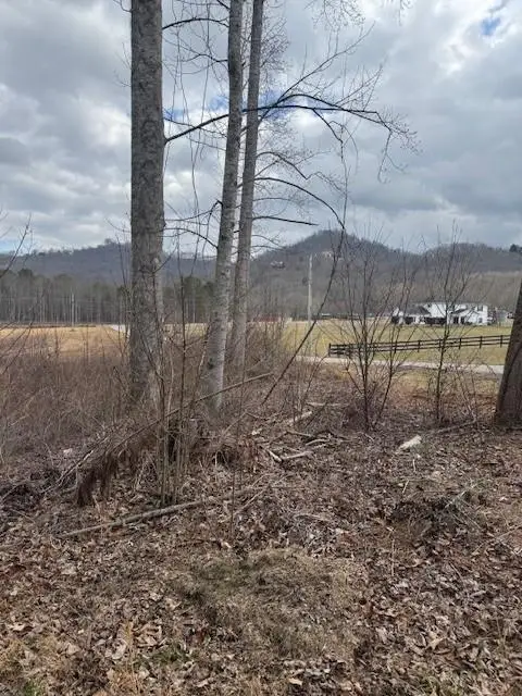 1 & 1A Sneaking Creek Drive, Hayesville, NC 28904 - #2