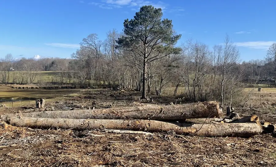 1 & 1A Sneaking Creek Drive, Hayesville, NC 28904 - #3