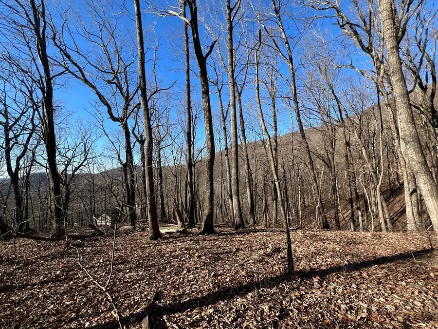 245 Sassafras Mountain Trail, Jasper, GA 30143 - #3