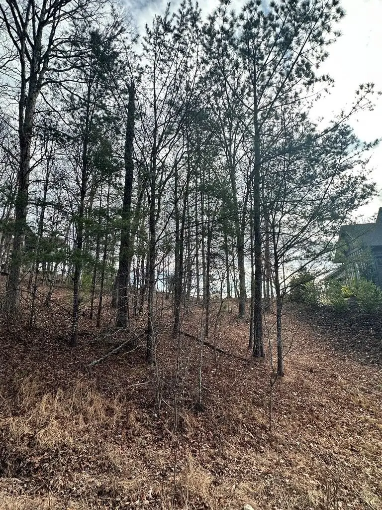 Lot 95 Fallen Leaf Road, Mineral Bluff, GA 30559 - Image #2