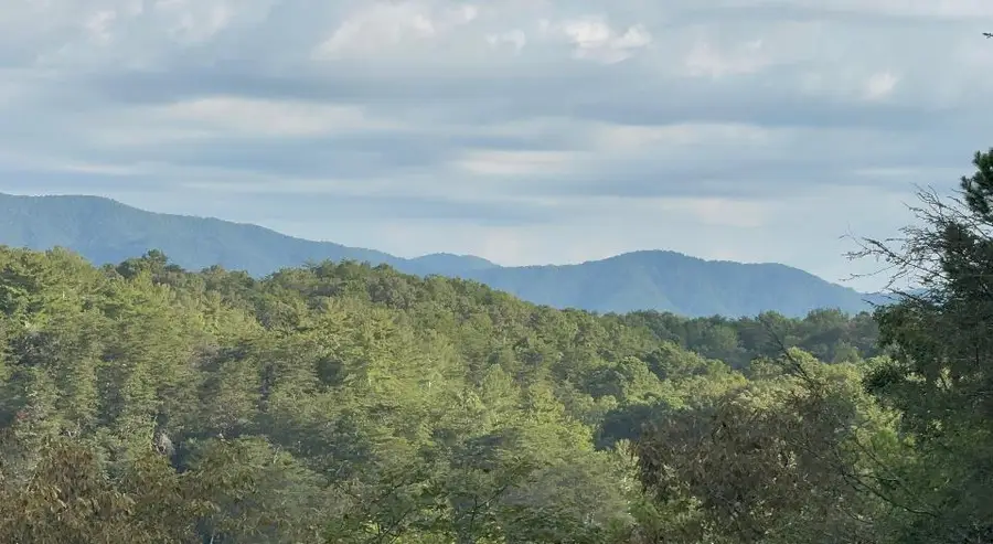 63 Granny Smith Lane, Ellijay, GA 30536 - Image #2