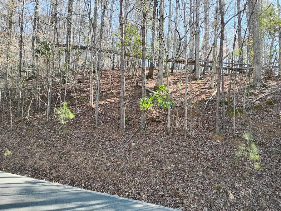 Lt 2090R Newport Drive, Ellijay, GA 30540 - #3