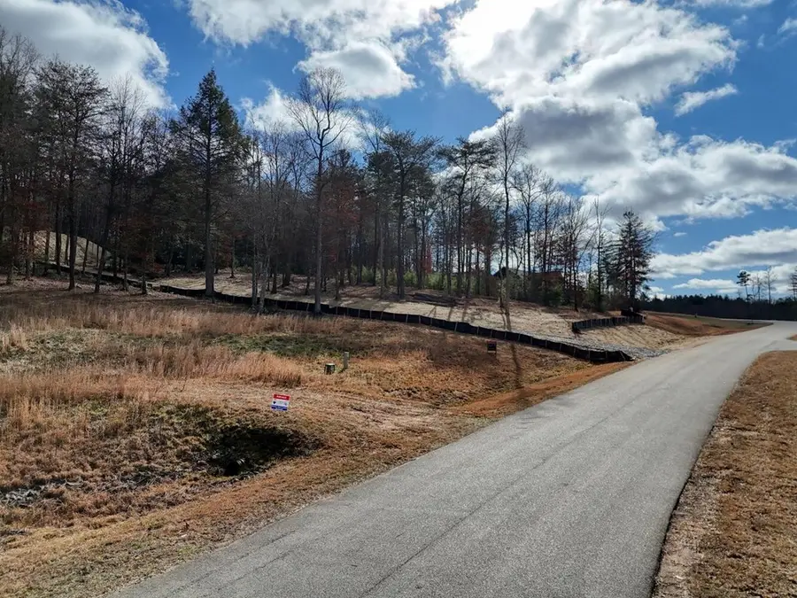 lot 37 New Water Way, Blairsville, GA 30512 - #2