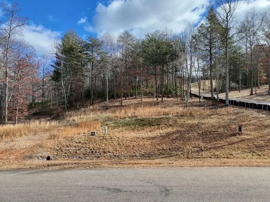 lot 37 New Water Way, Blairsville, GA 30512 - #3