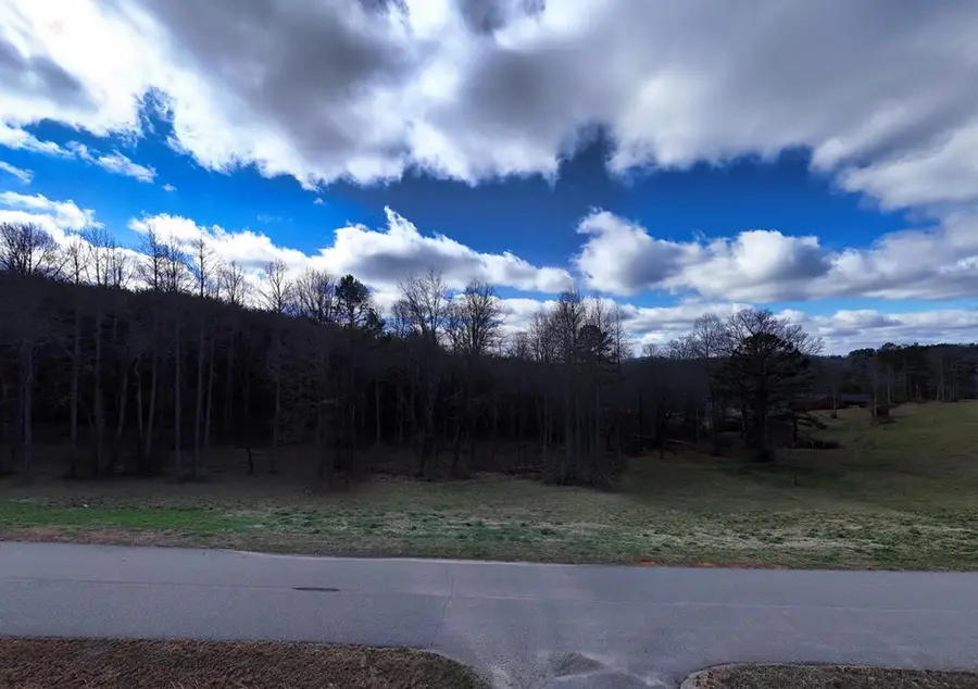 lot 44 Bayside Lane, Blairsville, GA 30512 - #3