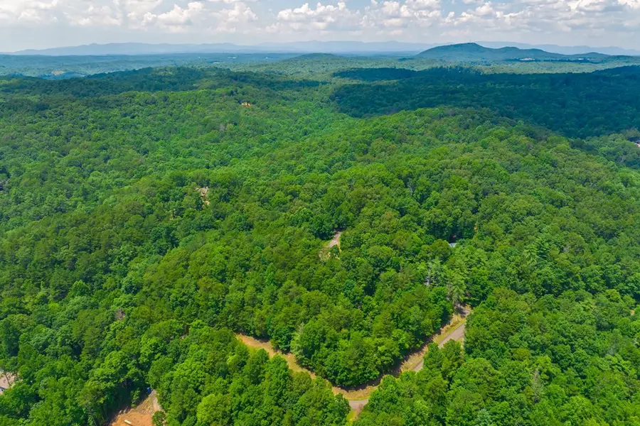 Lot 104 Mountain Creek Hollow Drive, Talking Rock, GA 30175 - #3