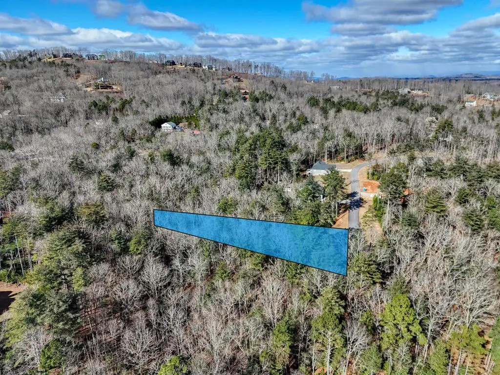 lot 157 Oakwood Way, Blairsville, GA 30512 - #1