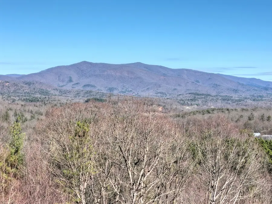 100 Fox Paw Leaf Court, Ellijay, GA 30536 - #2