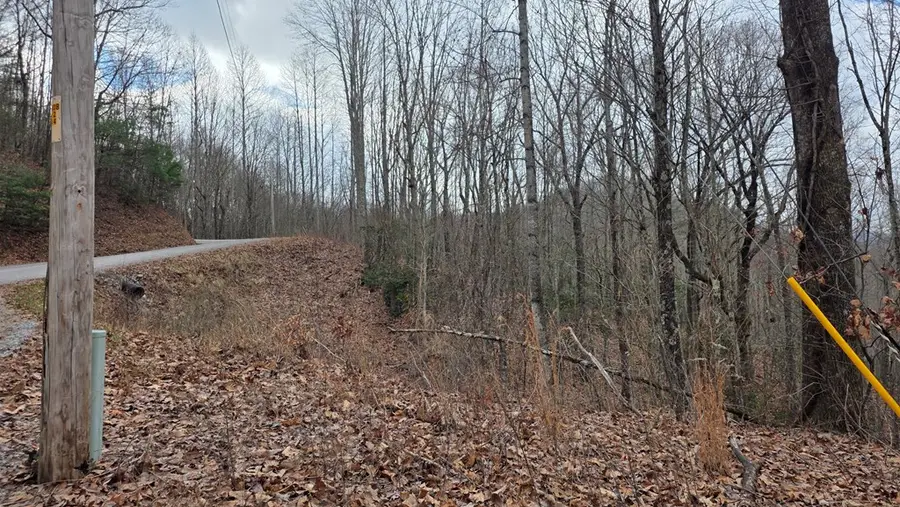 35AC Ducks Nest Road, Turtletown, TN 37391 - Image #2