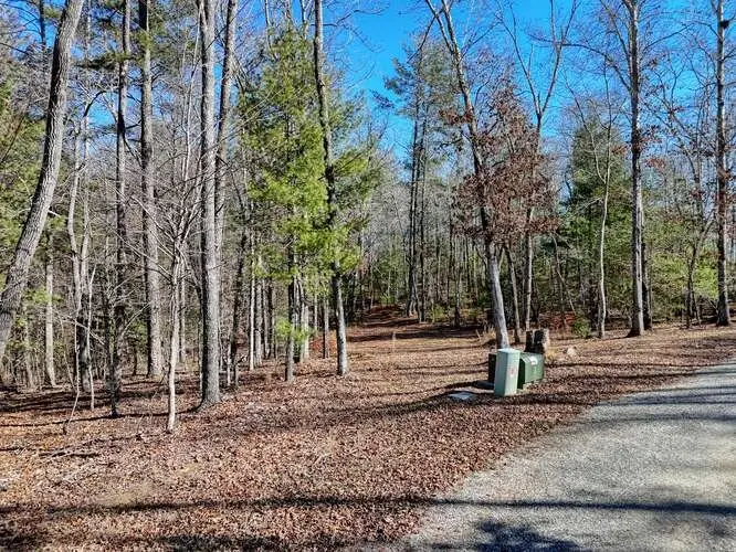 Tract 3 Mauney Circle, Blairsville, GA 30512 - #3