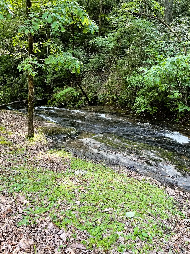 746 Mission Dam Road, Hayesville, NC 28904 - #2