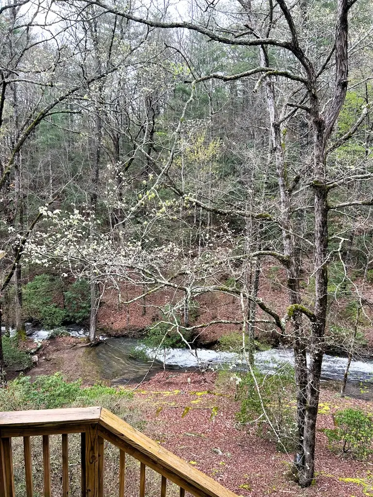 746 Mission Dam Road, Hayesville, NC 28904 - #3