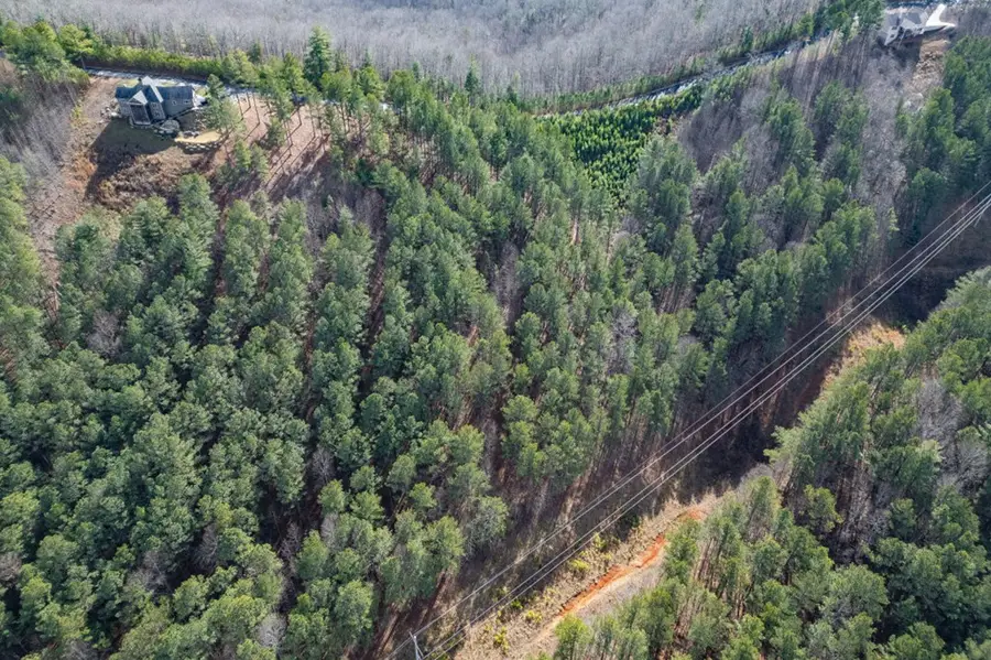 Lot 74 Thirteen Hundred, Blairsville, GA 30512 - #2