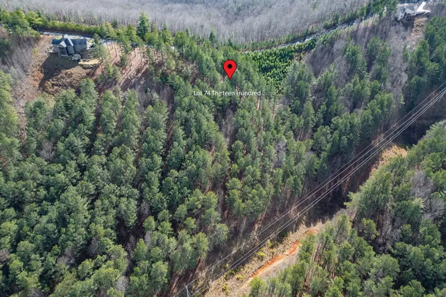 Lot 74 Thirteen Hundred, Blairsville, GA 30512 - #3