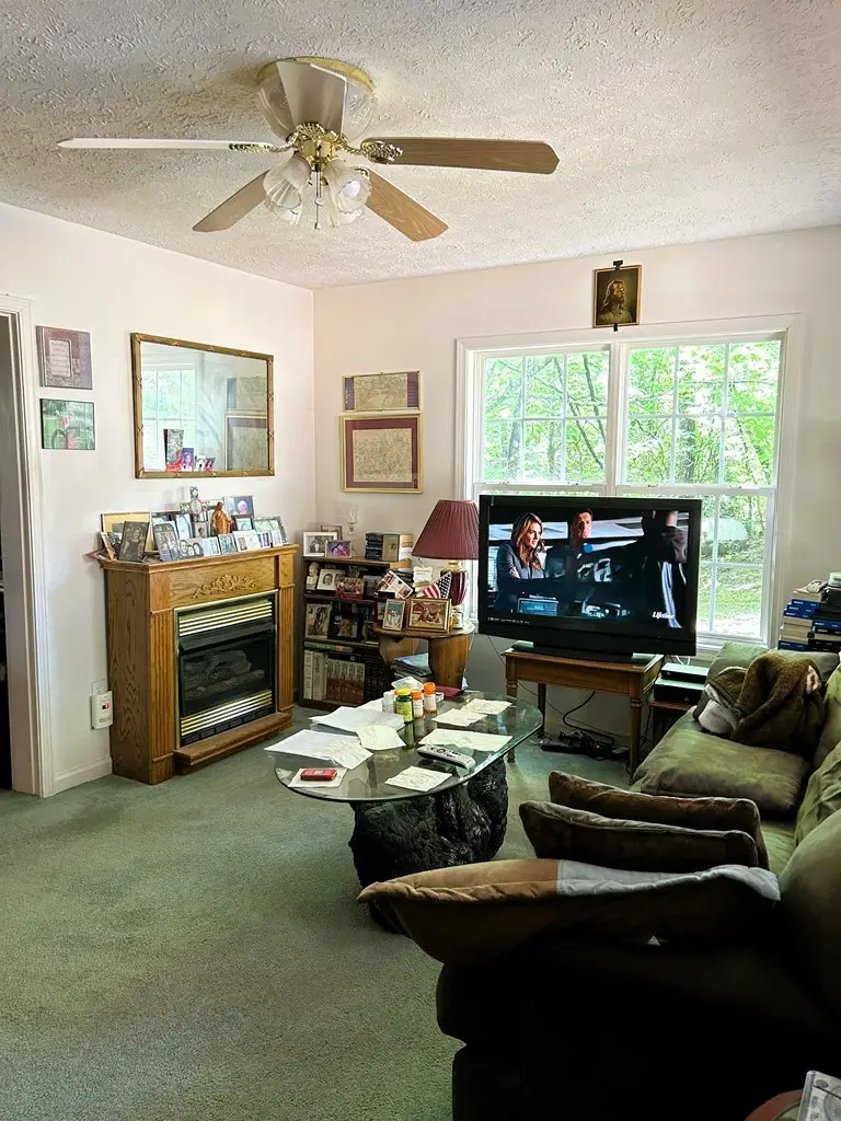 377 Scenic Drive, Hayesville, NC 28904 - #3