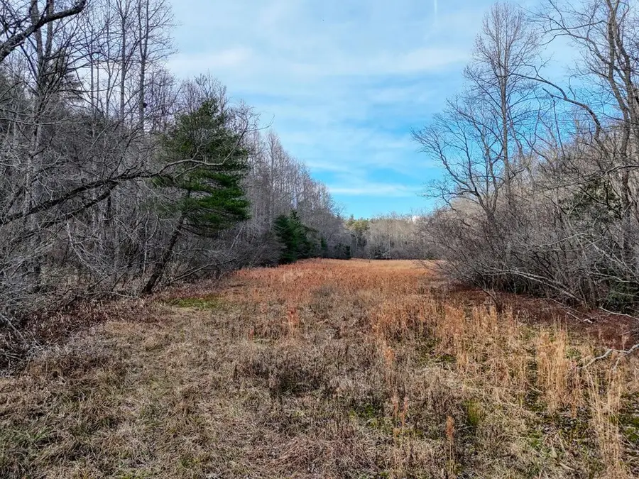 476 Rainbow Road, Suches, GA 30572 - #3