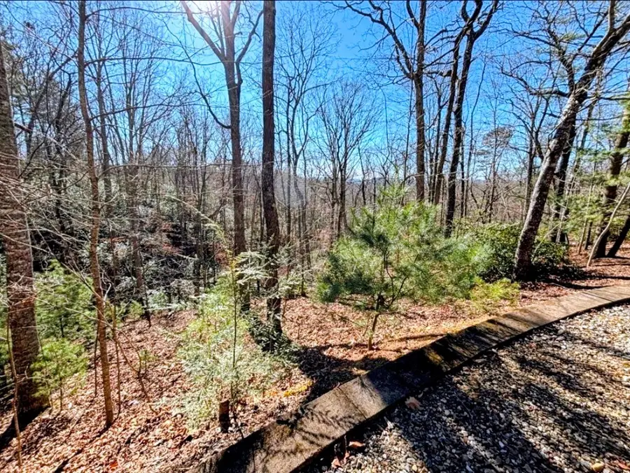 195 Justa Road, Blairsville, GA 30512 - #3