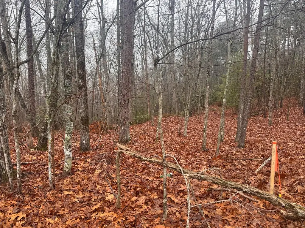 9.7Acres Winchester Creek, Young Harris, GA 30582 - #1