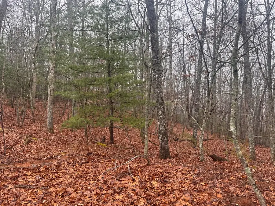 9.7Acres Winchester Creek, Young Harris, GA 30582 - #3