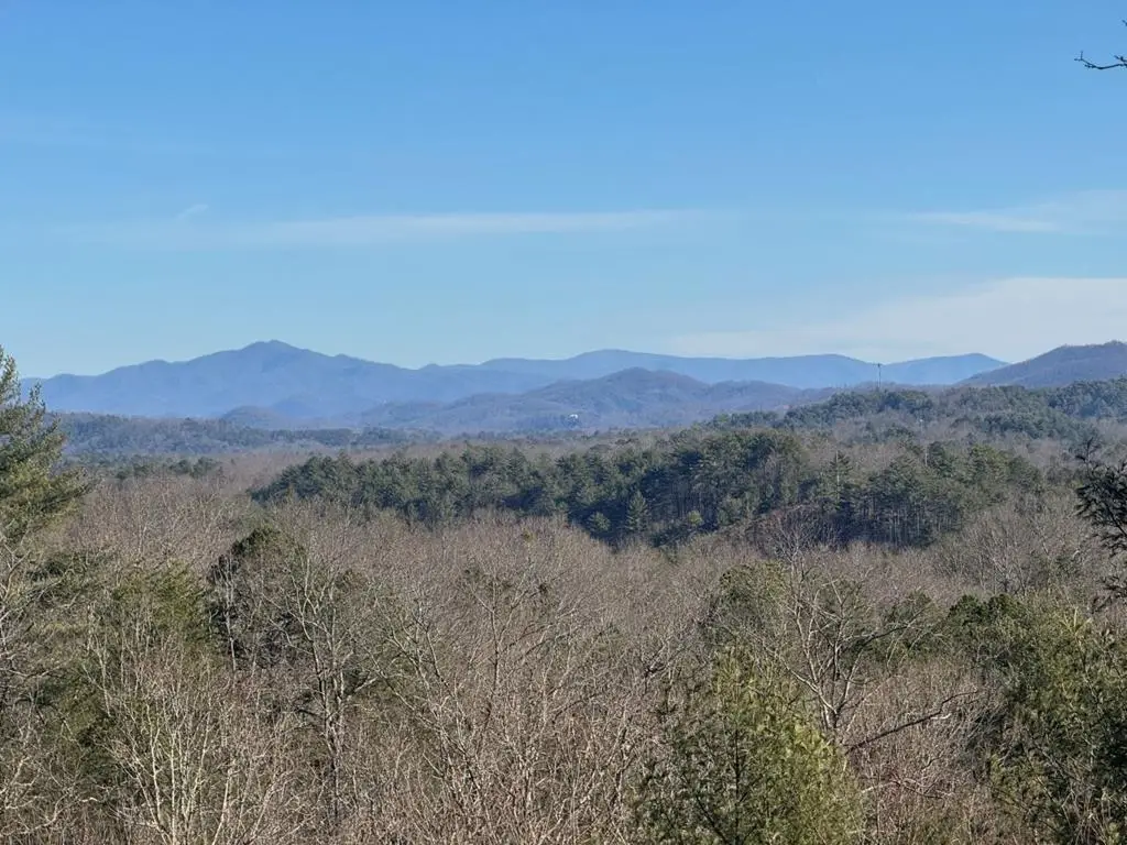293 Alto Vista Road, Murphy, NC 28906 - #1