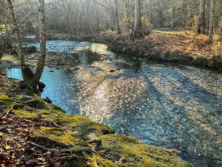 188 Clear Creek Valley Drive, Ellijay, GA 30536 - #2