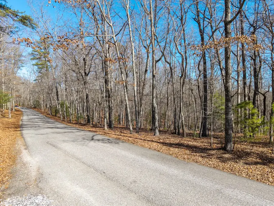 155 Becky Road, Blairsville, GA 30512 - #3