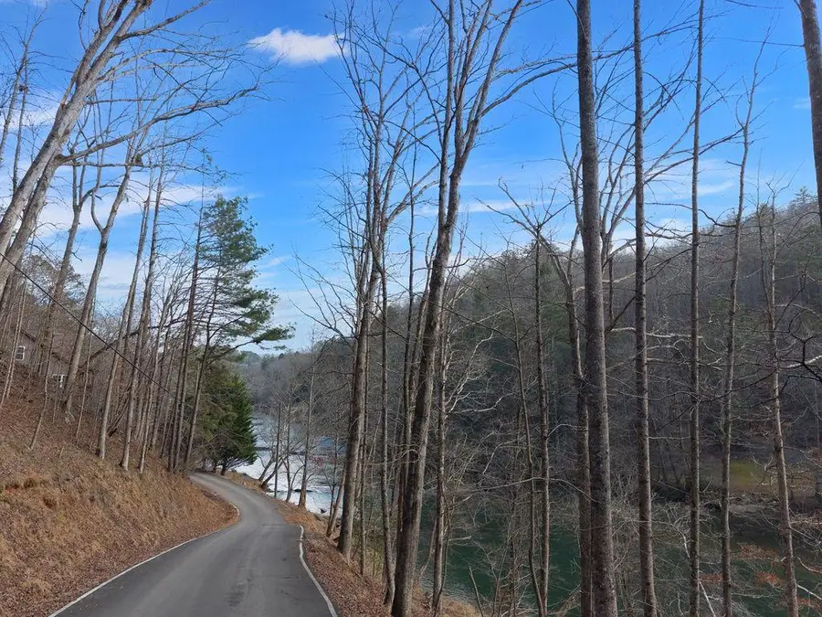 Lot 2965 Monticello Drive, Ellijay, GA 30540 - Image #2