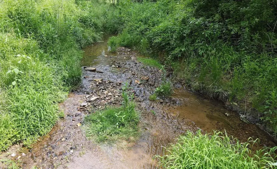 3988 Humphrey Mill Road, Mineral Bluff, GA 30559 - #3