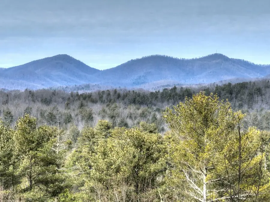 71 Rising Fawn Drive, Mineral Bluff, GA 30559 - #3