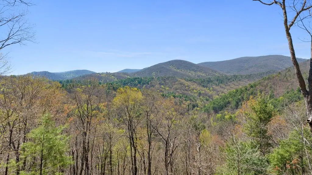 0 Big Creek Road, Ellijay, GA 30536 - #1