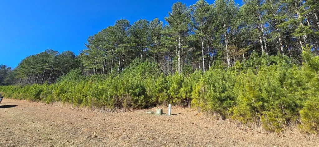 Lot 41 Deyton Drive, Blairsville, GA 30512 - #1