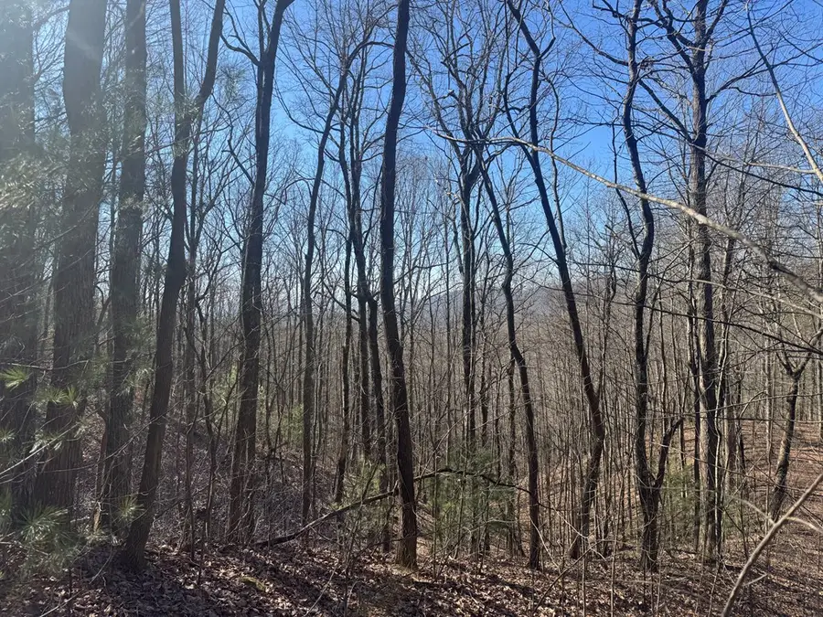 17 Oak Ridge Estates, Murphy, NC 28906 - Image #3