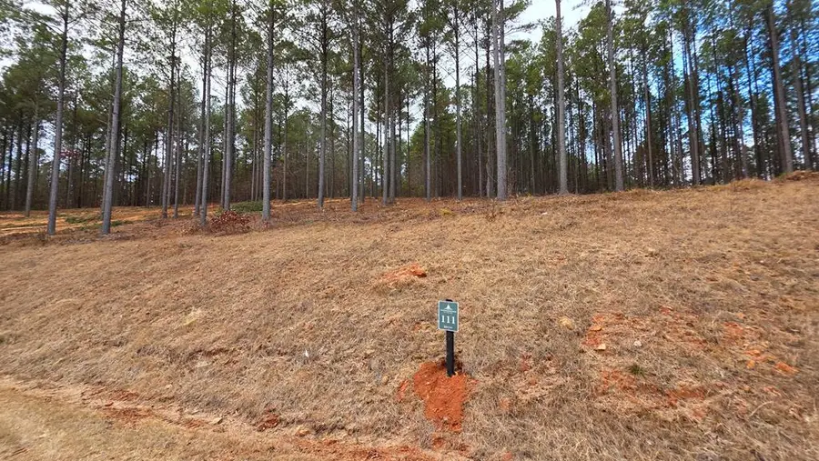 101 Springfield Parkway, Ellijay, GA 30540 - Image #2