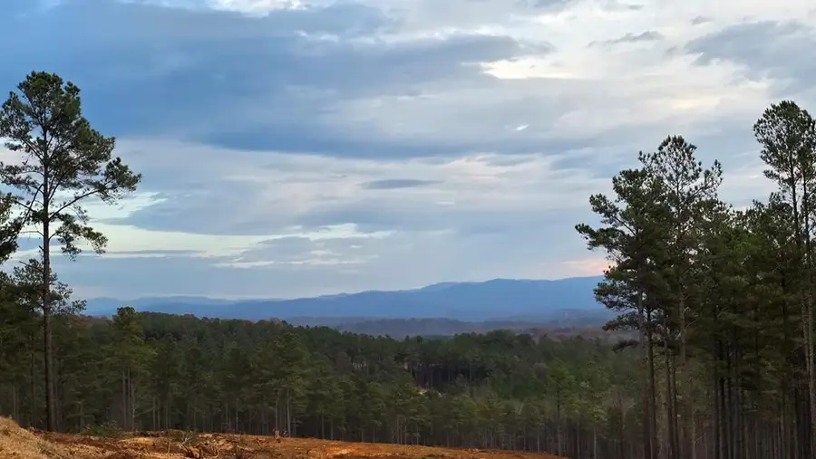 101 Springfield Parkway, Ellijay, GA 30540 - Image #3